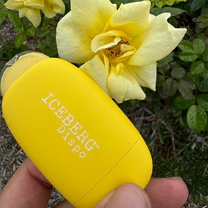 ICEBERG Dispo Ice Lemon(アイスレモン) nicotine 3% 3000パフ