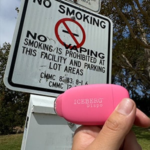 ICEBERG Dispo Cool Peach(クールピーチ) nicotine 3% 3000パフ