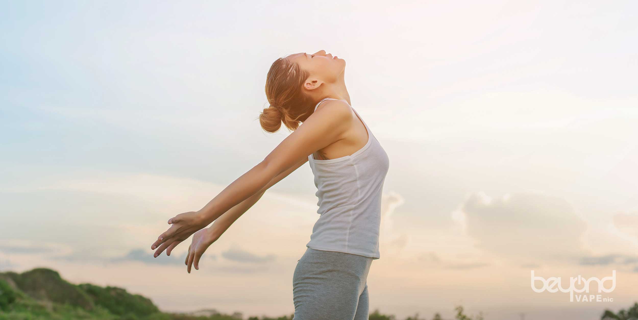 アイコスタールゼロ