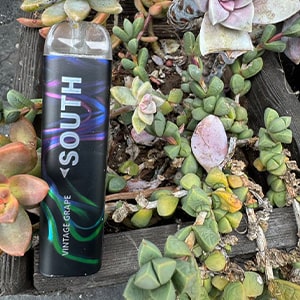 SOUTH Vintage Grape(ヴィンテージグレープ) nicotine 5% 3000パフ